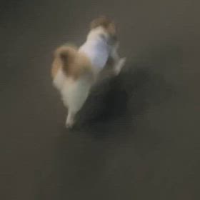 後輩ちゃんの成長の画像