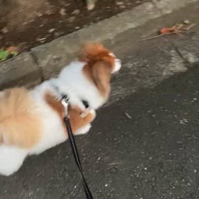 赤ちゃんが来るの画像