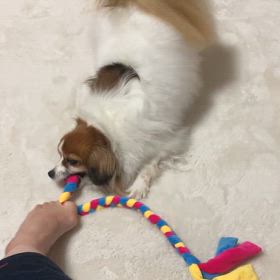 急に暑いの画像