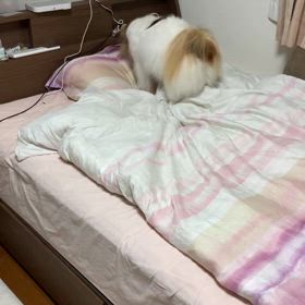元上司の画像