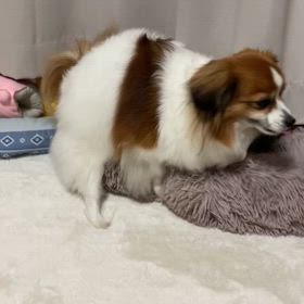 低速通信！？の画像