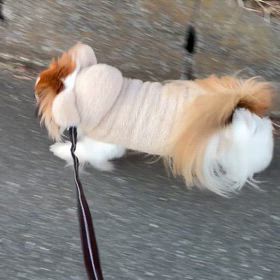 お休みの画像