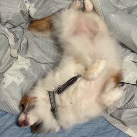 終わった！の画像