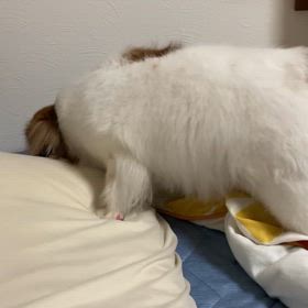 まさかのトラブルの画像