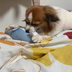 決まりましたの画像
