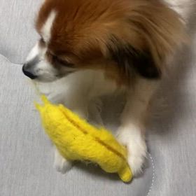 忙しかったの画像