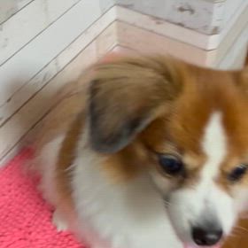 休暇だ！の画像