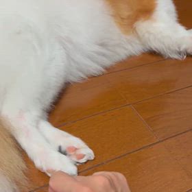 休めなかったの画像