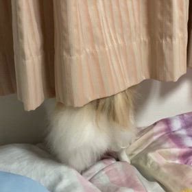 寝不足の画像