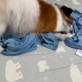 ストレス解消法の画像