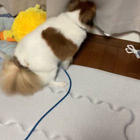 お見舞いデーの画像