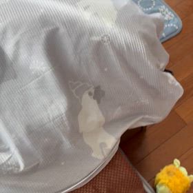 せっかく休みなのにの画像