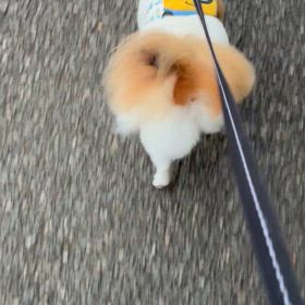 やりたいことの画像