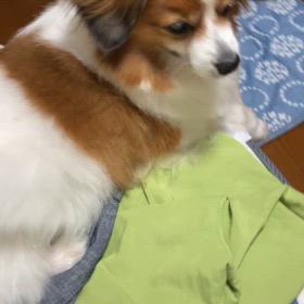 ディズニー帰りの画像