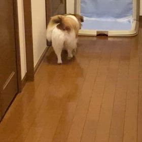 疲れがとれないの画像