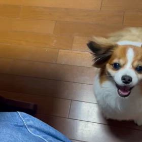 試練は続くよの画像