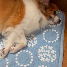 残業後ジムの画像