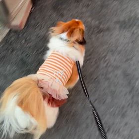 暑かった1日の画像