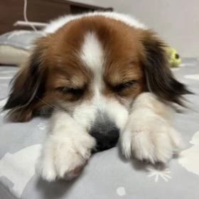 ますますひどくの画像