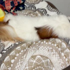 電車止まるの画像