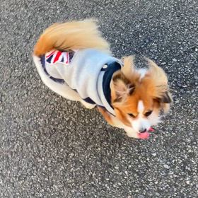 こんなに出るの！？の画像