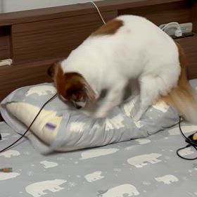 怒りが伝わらないの画像