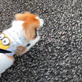 疲れたの画像