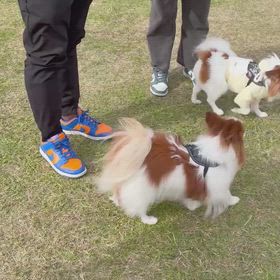 オフ会 ①の画像