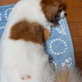 トラブル続きの画像