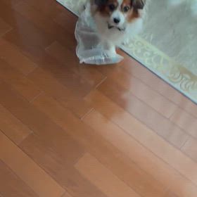 終わらないの画像
