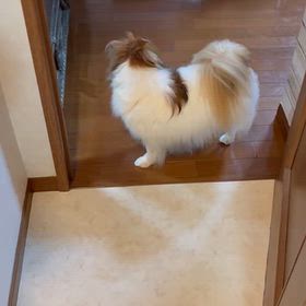 やっと晴れた！の画像