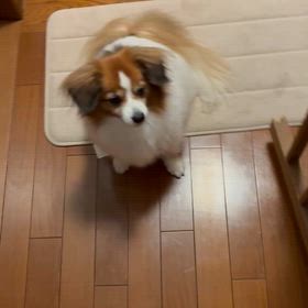 ママの顔見ての画像