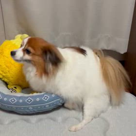 気づいたらの画像