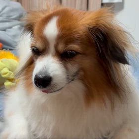 今日はここまでの画像
