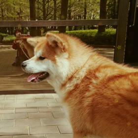 2021/04/06の画像