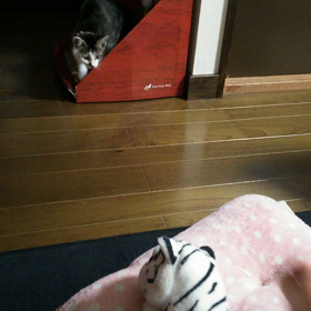 敵の画像