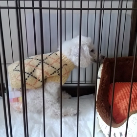 動かない身体で頑張る　2018年3月20日の画像