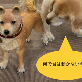 小さなお客さんの画像