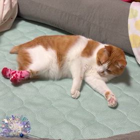 今日はドキドキしてるからの画像