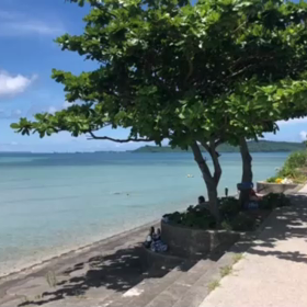 沖縄今日は良い天気でした。の画像