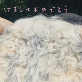 明けましておめでとう。の画像