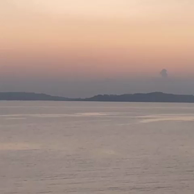 一日の画像