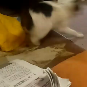 今日は術後1年検査の画像