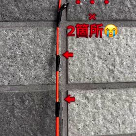2024/11/28の画像