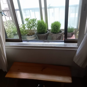 7月1日の画像