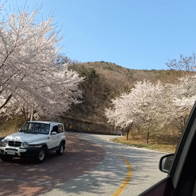 4月10日の画像