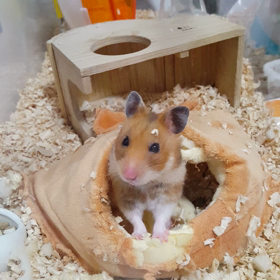 気まずい。の画像