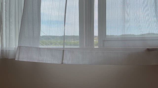 風の記事動画
