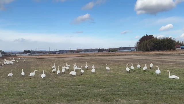 寒いの記事動画