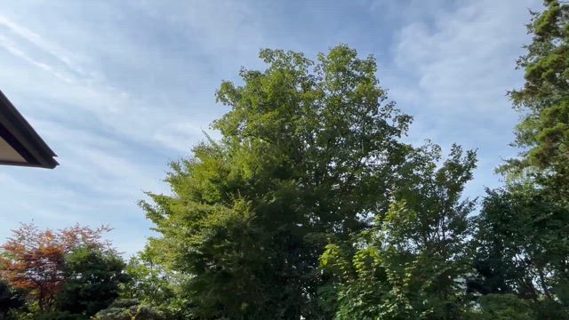 日常が戻ってくる…の記事動画